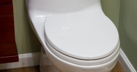 Toto Carlyle II Toilet