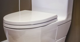 Toto Aimes Toilet
