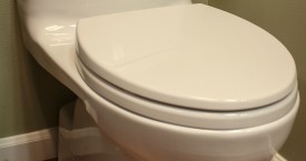 Toto Carlyle II Toilet
