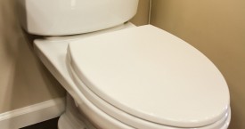 Toto Drake II Toilet