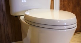 Toto Eco Nexus Toilet