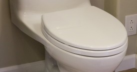 Toto Ultramax II toilet
