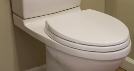 Toto Connelly Toilet